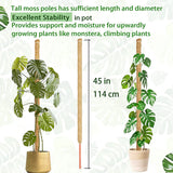 Full Length 114cm DIY Modelling Plant Coir Stick