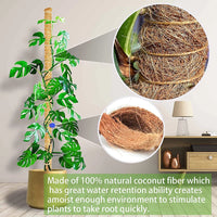 Full Length 114cm DIY Modelling Plant Coir Stick