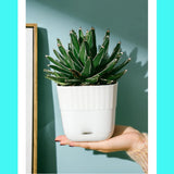 Imitation Ceramic Resin Plastic Large Flower Pot